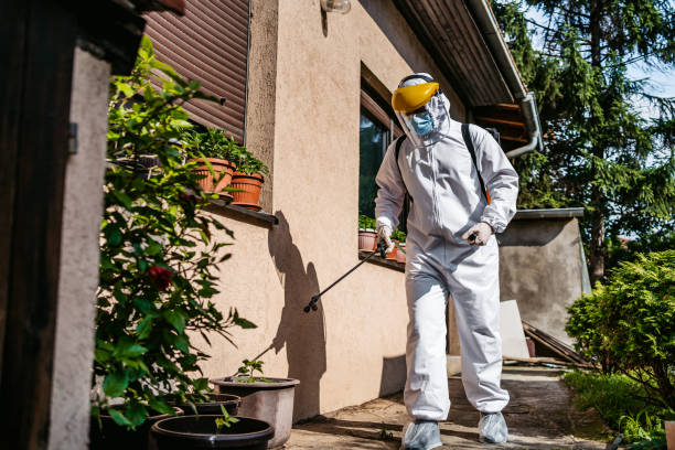 Best Best Pest Control Companies  in La Crescent, MN