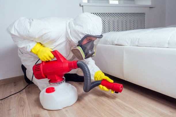 Best Bed Bug Extermination  in La Crescent, MN