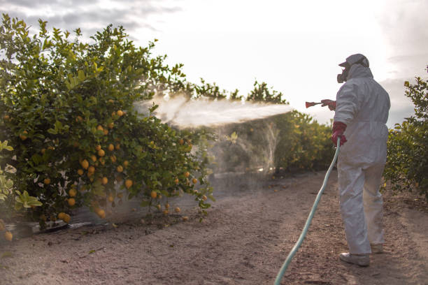 Best Exterminator Services  in La Crescent, MN