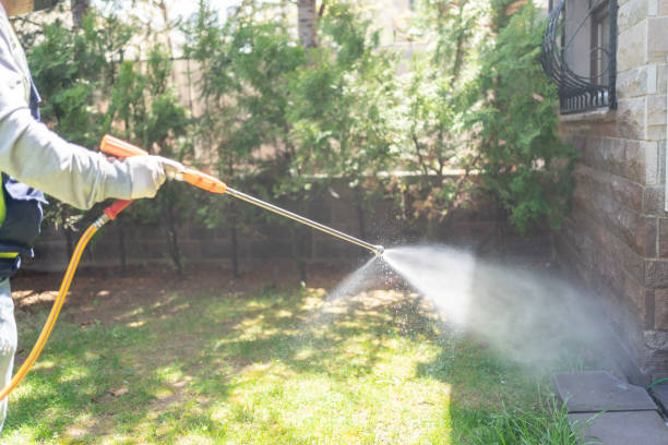 Best Flea Control Services  in La Crescent, MN