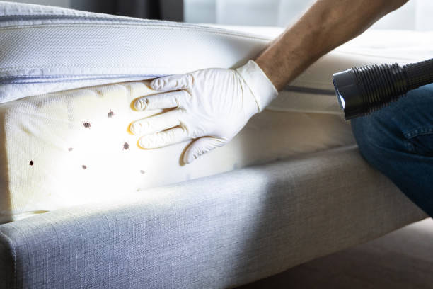 Best Cockroach Control Services  in La Crescent, MN