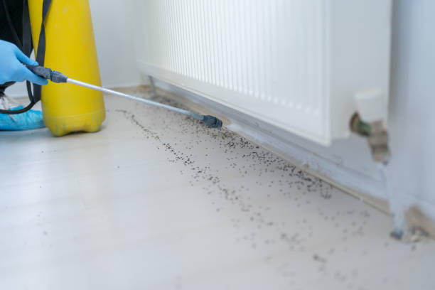 Best Pest Control Near Me  in La Crescent, MN