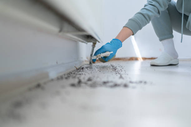 Best Commercial Pest Control Services  in La Crescent, MN
