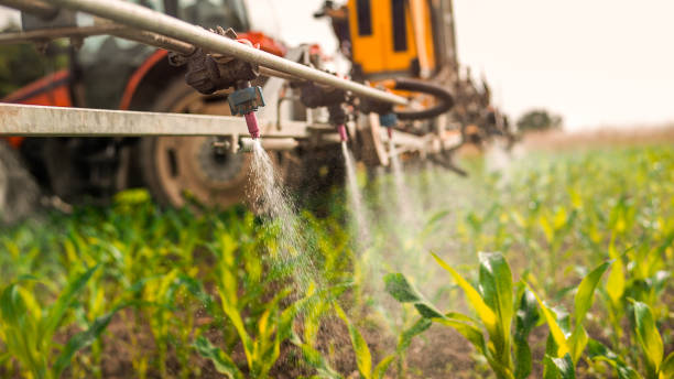 Best Wildlife Control Services  in La Crescent, MN